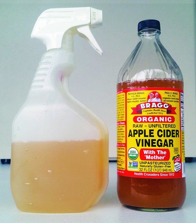 how much apple cider vinegar do i put in my dogs water