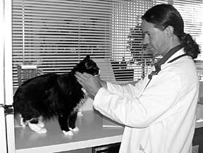 veterinary house calls near me