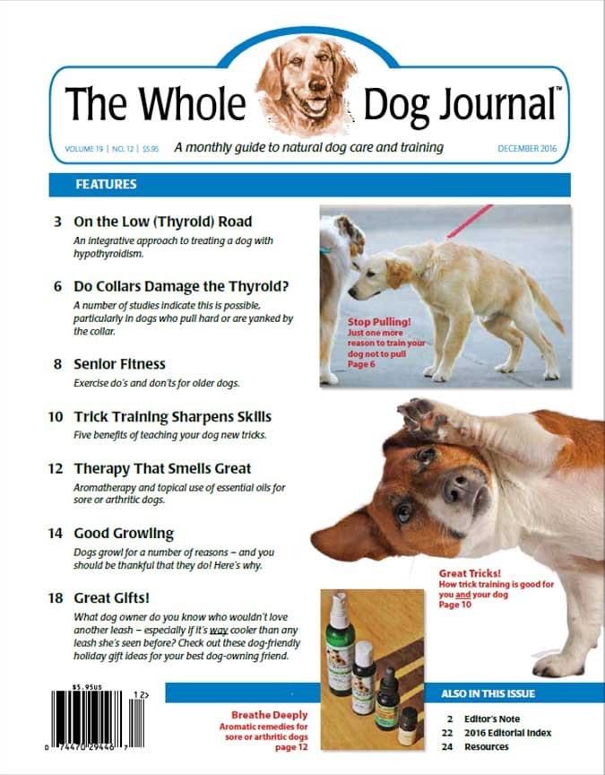 Download The Full December 16 Issue Pdf Whole Dog Journal