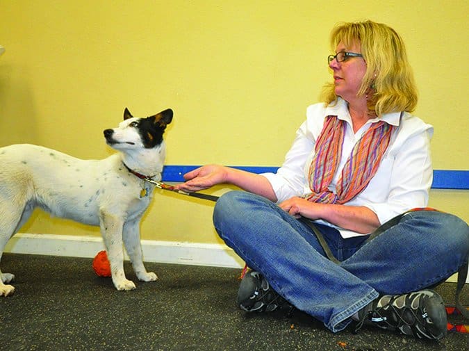 counter conditioning and desensitization
