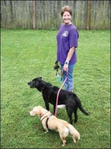 How to Teach Loose Leash Walking to Your Dog