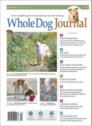 The Whole Dog Journals Guide to Optimum Dog Care: Mending His Ways