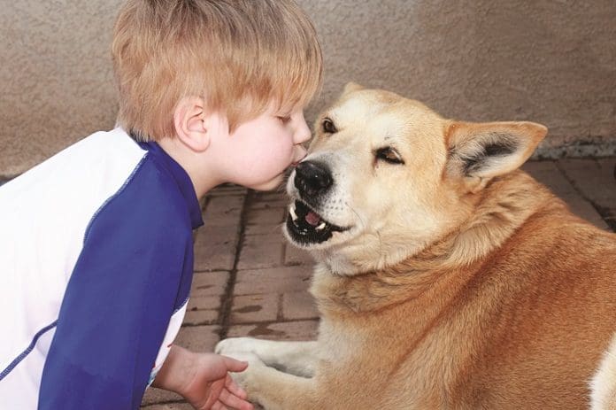 kidsanddogs