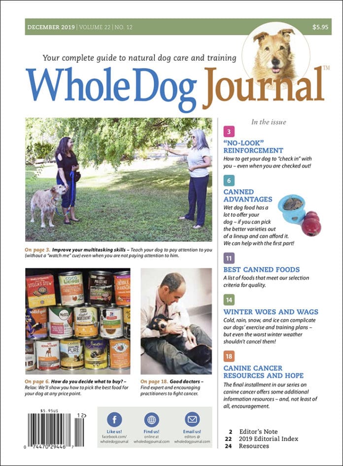 whole dog journal best dog food