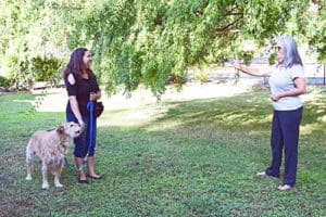 “No-Look” Reinforcement Training