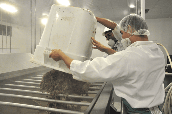 Food-workers