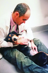 Canine Cancer Resources and Hope