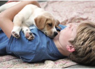 child with puppy