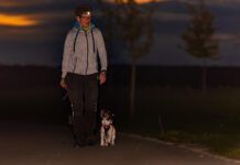 How Well Can Dogs See in the Dark?