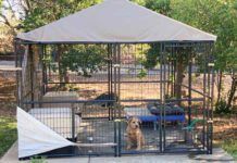 Outside Dog Kennels outside dog kennel