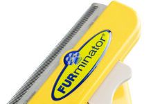 Brushes and Tools for Shedding Dogs furminator