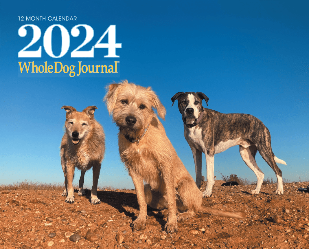 Whole Dog Journal 2024 Calendar Whole Dog Journal