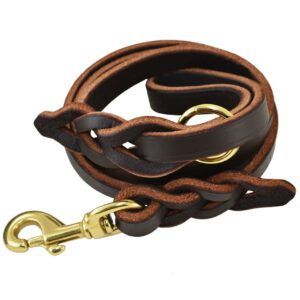 The Best Dog-Walking Gear - Whole Dog Journal jj leather leash