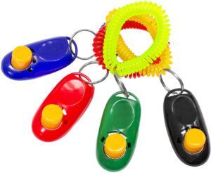 The Best Dog-Walking Gear - Whole Dog Journal clickers