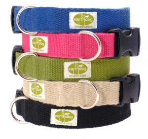 The Best Dog-Walking Gear - Whole Dog Journal earthdog collars