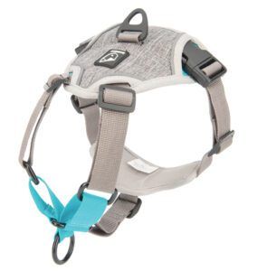 The Best Dog-Walking Gear - Whole Dog Journal in line harness