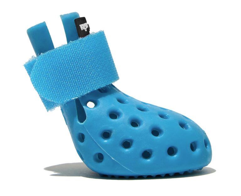 The Best Summer Dog Shoes Whole Dog Journal